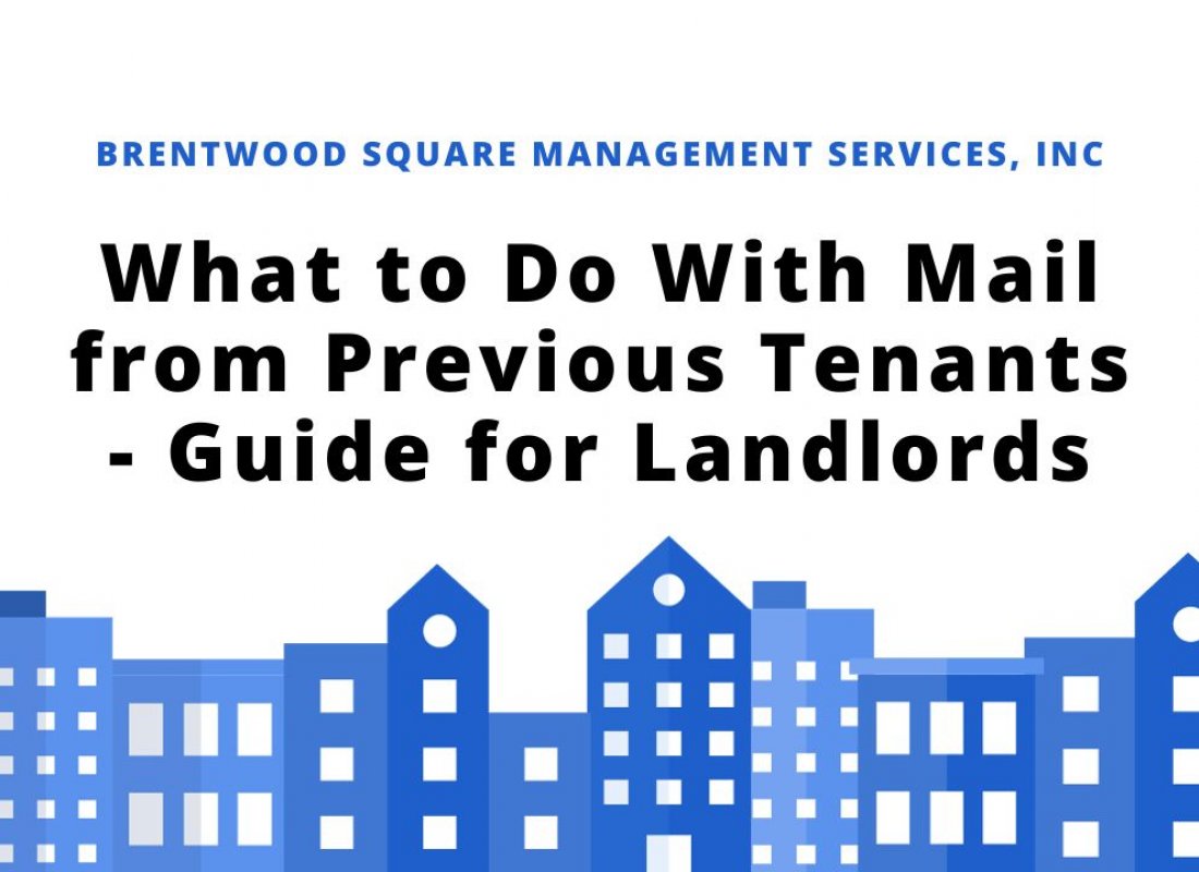 What to Do With Mail from Previous Tenants - Guide for Landlords