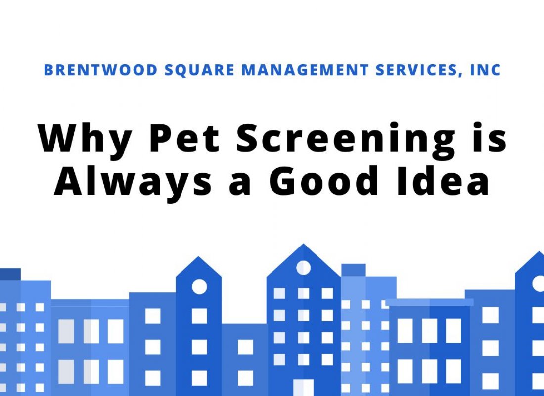 Why Pet Screening is Always a Good Idea Why Pet Screening is Always a Good Idea