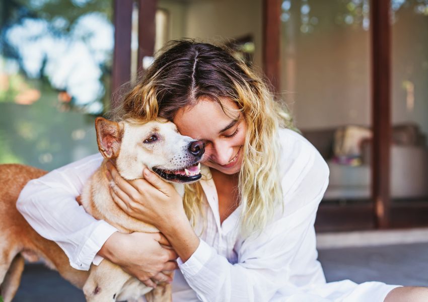 person-holding-happy-dog