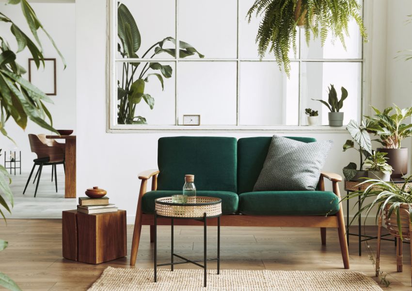 staged-home-with-chairs-and-plants
